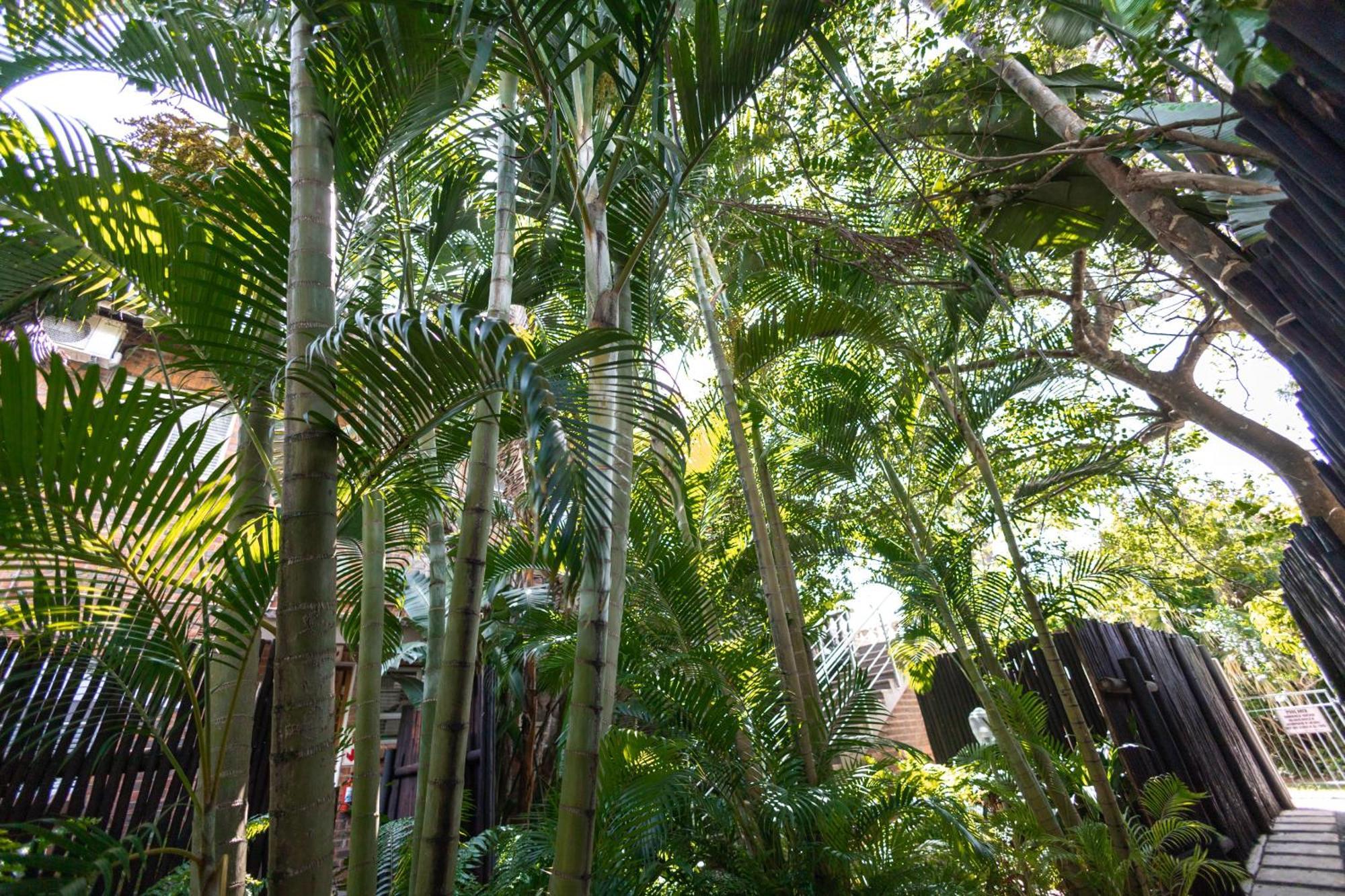 Little Eden St Lucia Apartamento Exterior foto